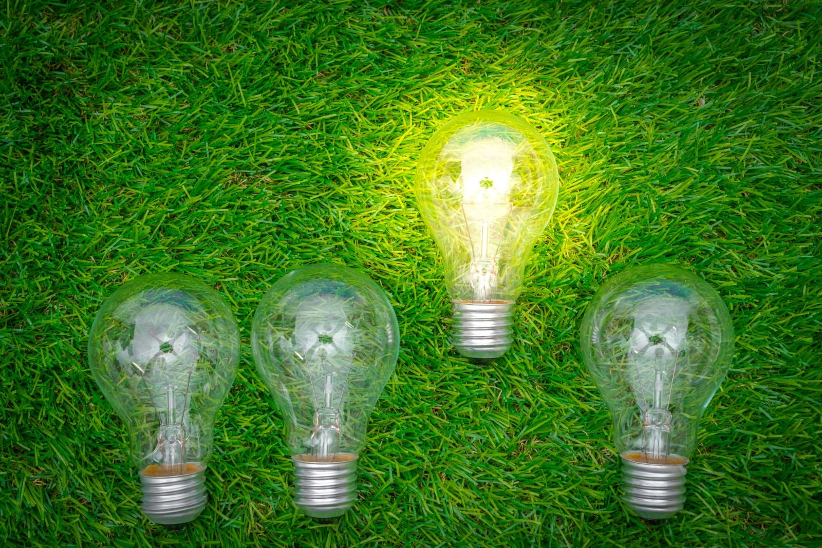 Lâmpada com planta crescendo na grama, representando a bandeira verde e a economia na conta de luz